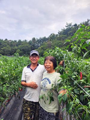 추비는 액비로만, 경제성·편리성·효과까지 1석 삼조!